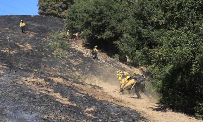 ABD'nin California eyaletinde çıkan yangında 14 bin 600 dönümden fazla alan yandı