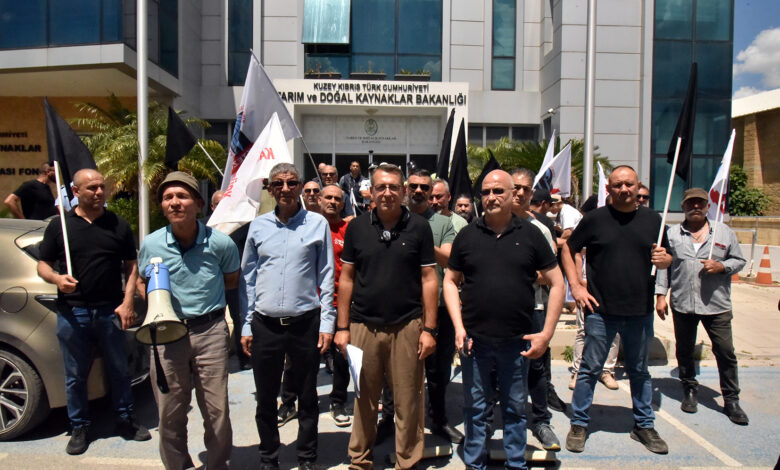 KTEZO ve Kasaplar Birliği'nden eylem: 'Yerli et sübvanse edilsin'