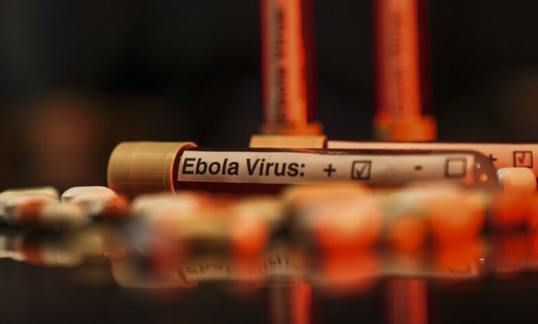 ABD'de 2026 FIFA Dünya Kupası Öncesi Havalimanlarında Ebola Tarama Merkezleri Kurulacak