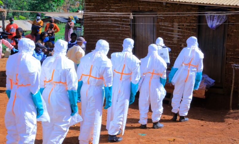 G7 Zirvesi'nde kritik kararlar: Kanser ve Ebola ile mücadele için ortak bildiri