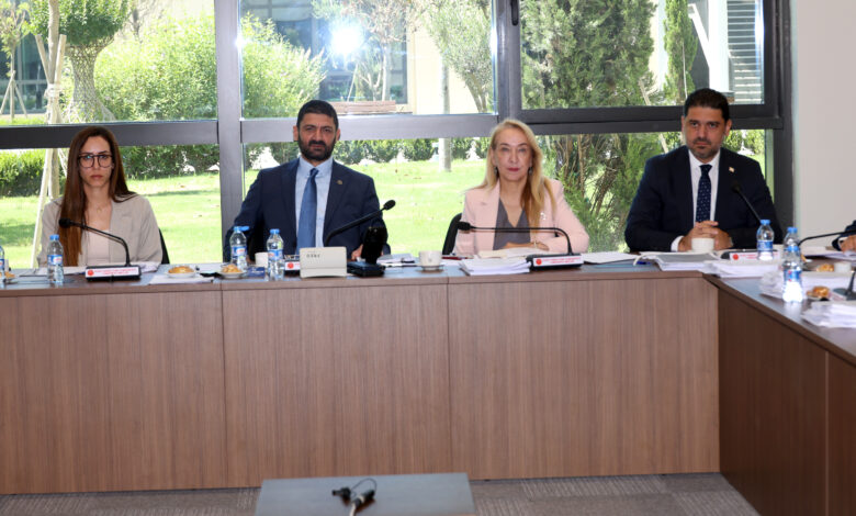 İdari, Kamu ve Sağlık İşleri Komitesi'nde iki yasa tasarısı görüşüldü