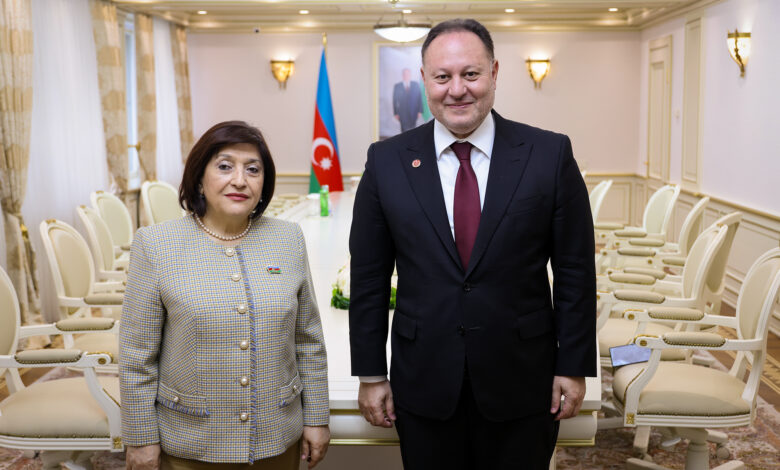 Cumhuriyet Meclisi Başkanı Öztürkler, Azerbaycanlı mevkidaşı Gafarova ile görüştü