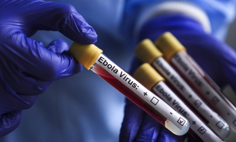 Kongo Demokratik Cumhuriyeti'ndeki Ebola Salgınında Bilanço Ağırlaşıyor: Vaka Sayısı 1155’e Ulaştı