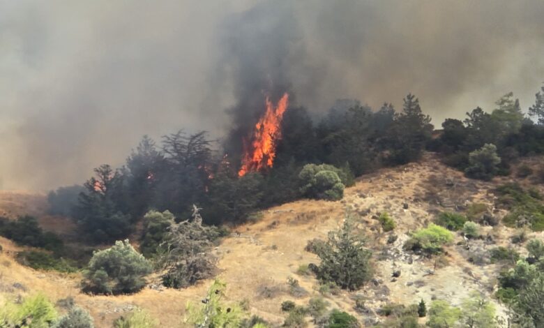 Yamaçköy ile Tirmen Arasındaki Ormanlık Alanda Yangın Çıktı