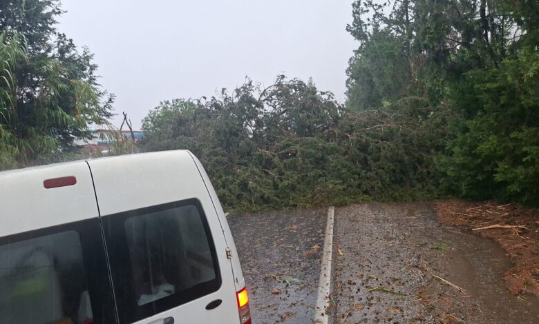 Polisten Şiddetli Yağış ve Rüzgar Uyarısı: Güzelyurt-Kalkanlı Yolu Kapatıldı