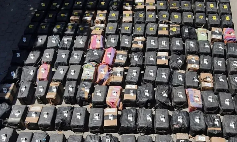 Fransa'da Gana Çıkışlı Konteynerde 3,9 Ton Kokain Yakalandı