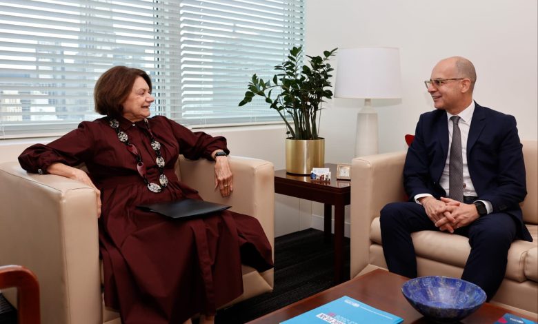Cumhurbaşkanlığı Müsteşarı Mehmet Dânâ, New York'ta diplomatik temaslarda bulundu
