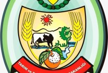 TARIM BAKANLIĞI'NDAN SEBZE ÜRETİCİLERİNE FİDE DESTEĞİ SAĞLANACAK