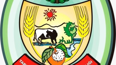 TARIM BAKANLIĞI'NDAN SEBZE ÜRETİCİLERİNE FİDE DESTEĞİ SAĞLANACAK