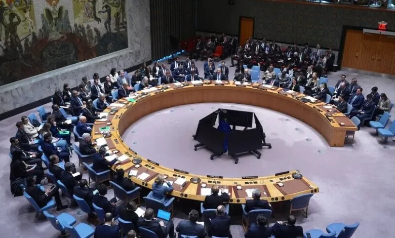 BMGK'DE YEMEN VE SUUDİ ARABİSTAN'DAN HUSİLERE KARŞI ACİL HAREKETE GEÇME ÇAĞRISI