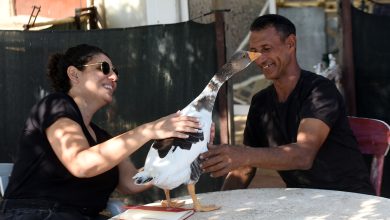 KAZLARLA KURDUĞU ÖZEL BAĞLA DİKKAT ÇEKEN TÜMER DEBRELİ HİKAYESİNİ ANLATTI