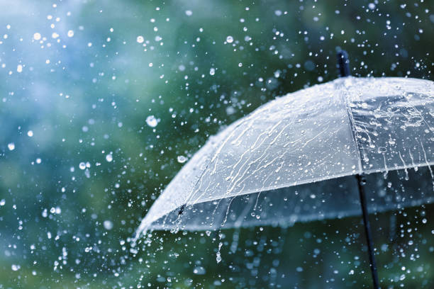 METEOROLOJİ DAİRESİ'NDEN YARIN İÇİN KUVVETLİ YAĞIŞ UYARISI